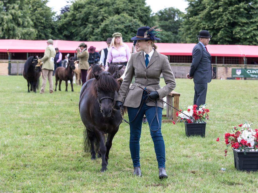 ការប្រកួតនិងពានរង្វាន់: ការបង្កើតនិងការណែនាំ