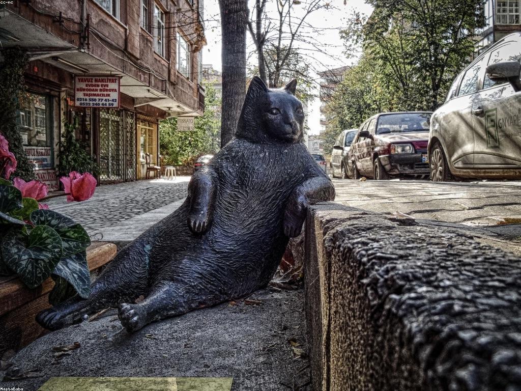 គន្លឹះសម្រាប់អ្នកដំបូង